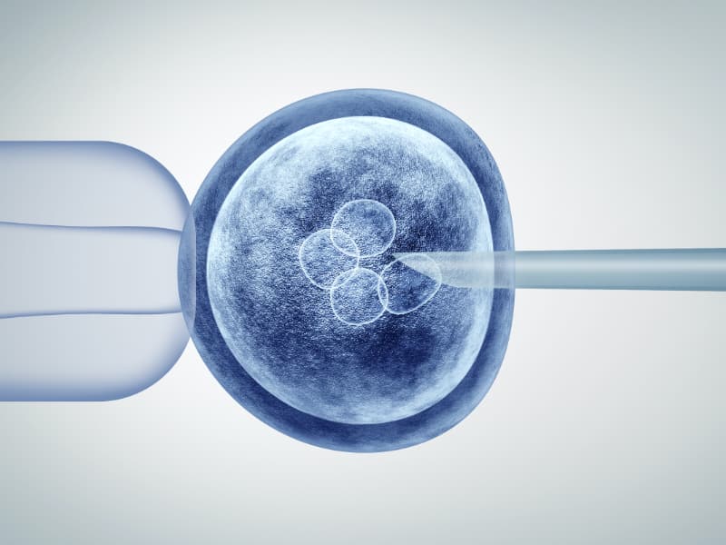 Tüp Bebek Pratiğinde Uygulanan Tanı ve Tarama Testleri - 3D1K Genetik